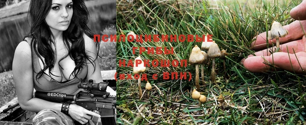 бошки Сясьстрой